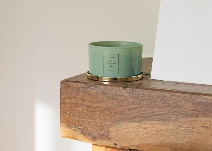 Belle Maison Sur Un Air De Campagne Montauban